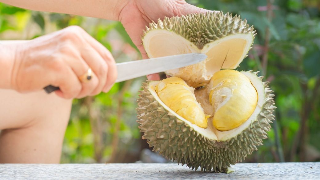 All You Have To Know About The Services For The Best Durian Delivery Singapore