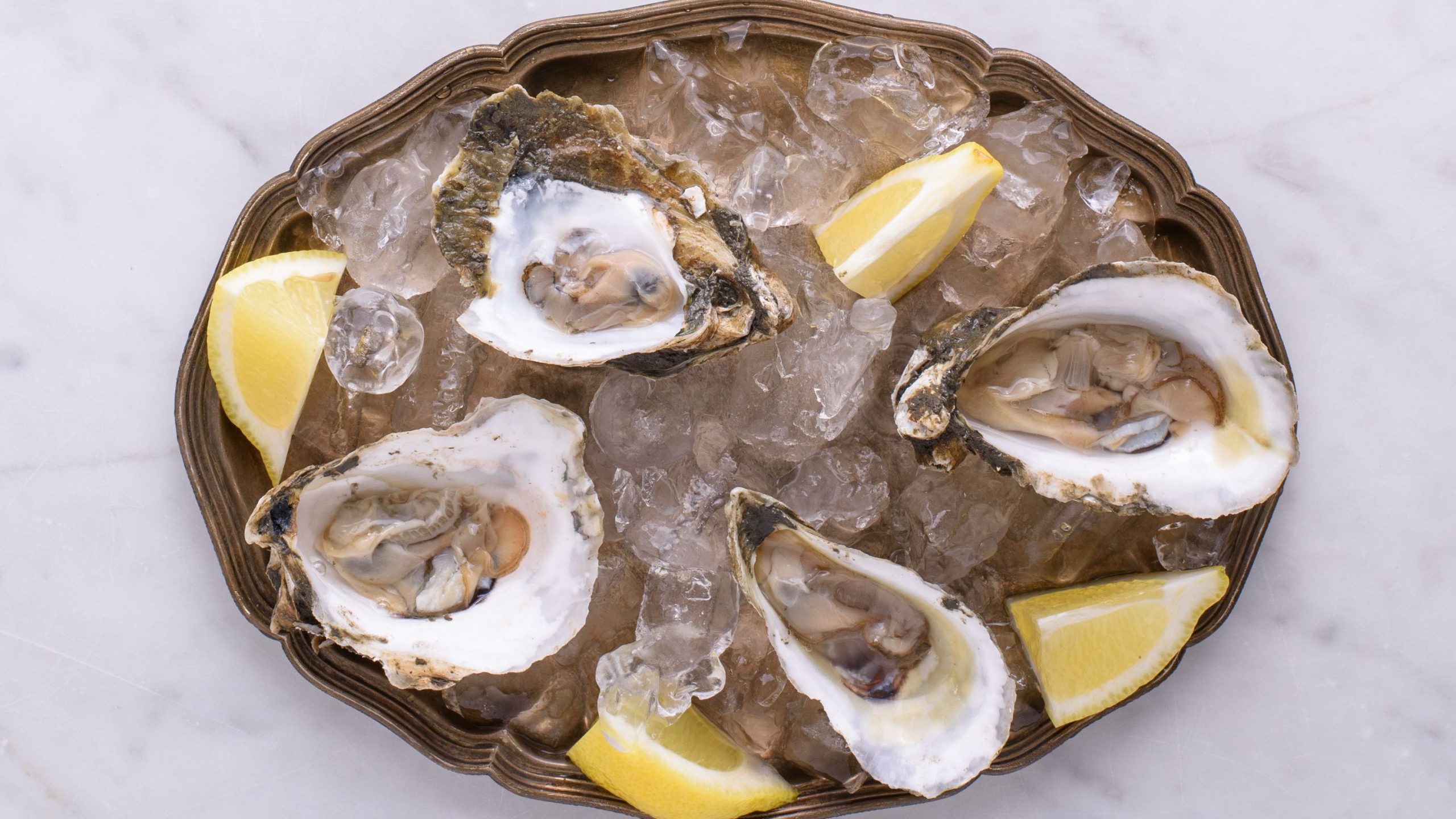 oyster delivery singapore